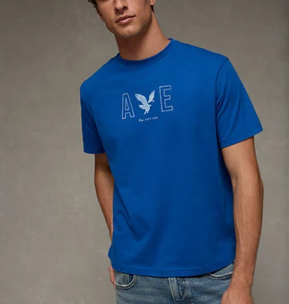 AE Men's Standard Fit Lightweight Graphic T-Shirt