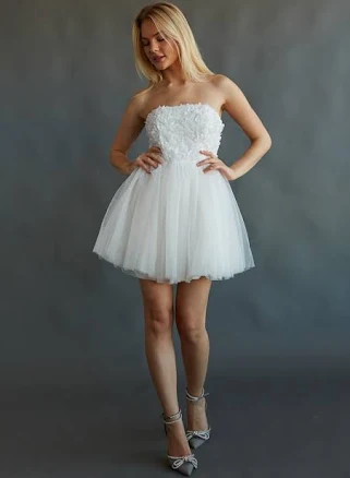 Grace Floral Applique Tulle Babydoll Mini Dress