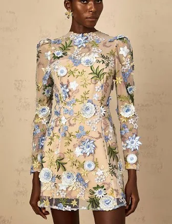 Jolien Floral Appliqué Embroidered Tulle Mini Dress