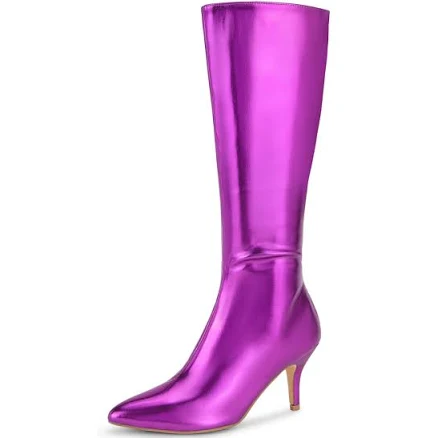 Pointed Toe Stiletto Knee High Boots