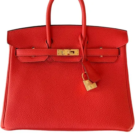 Hermès Birkin 25 Leather Handbag in Togo-Leather