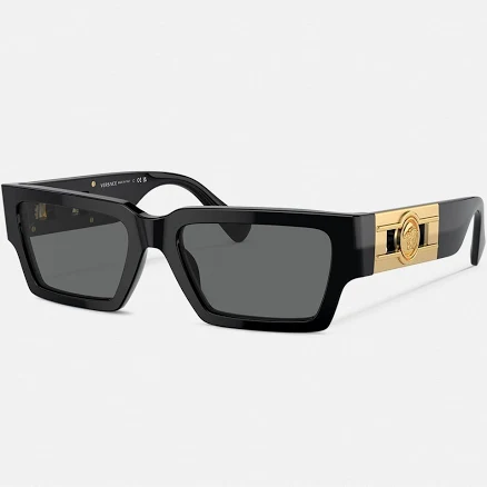 Sunglasses Versace VE4459
