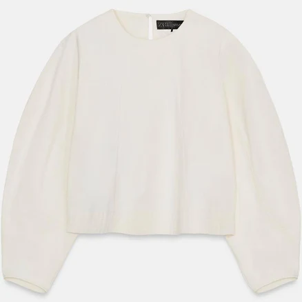 Zara Volume Sleeve Crop Top