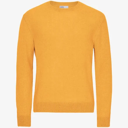 Colorful Standard Classic Merino Wool Crew