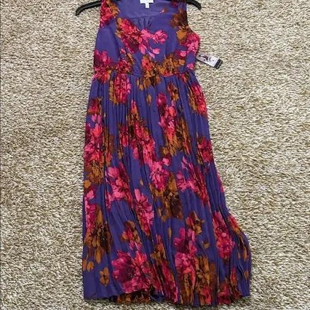 Sofia by Sofia Vergara Floral Pleated Maxi Dress