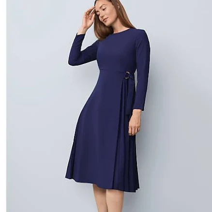 Ann Taylor Women's Pleated Crepe Flare Dress
