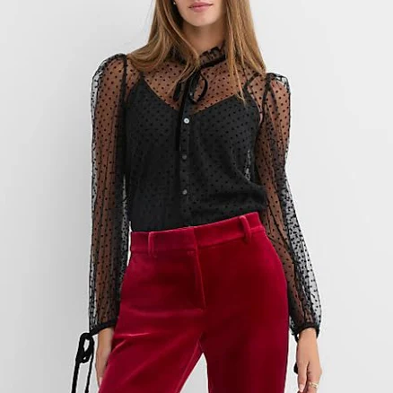 Velvet Dot Tulle Bow Blouse