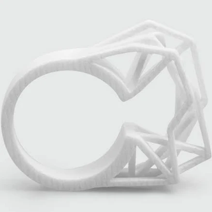 3D printed Abstract Nylon Ring