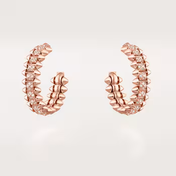 Clash de Cartier Earrings (N8515173)