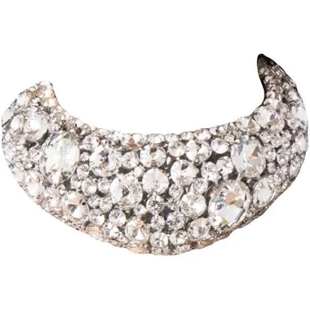 Crystal Bone Choker Necklace