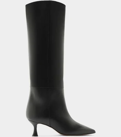Alexandre Birman Women's Chloe Pointed Toe Knee-High Leather Boots