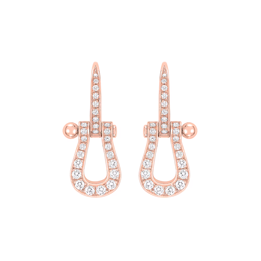Force 10 Earrings