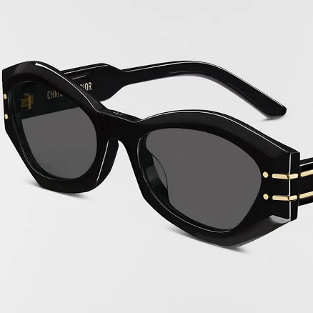 DIOR Diorsignature B1U Butterfly Sunglasses Women