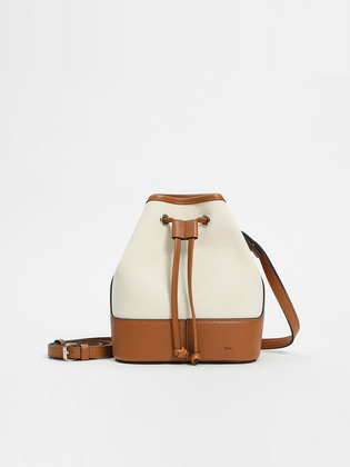 Ain Bag Mini Bag