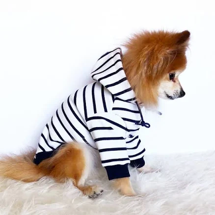 Navy striped Hoodie