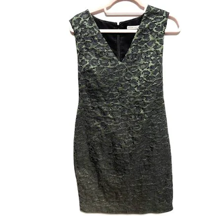 Alice + Olivia Dresses | Alice + Olivia Green Jacquard V-Neck Dress | Color: Green | Size: 6 | Wearingbliss's Closet