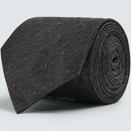 Zara Men's Silk Polka Dot Jacquard Tie