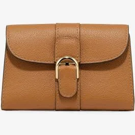 Maison Delvaux Women's Brillant Card Holder in Rodéo Calf