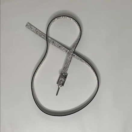 Dolls Kill Accessories | Rhinestone Belt | Color: Silver | Size: Many Adjustments | Modionne's Closet