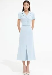A Line Pleats Skirt