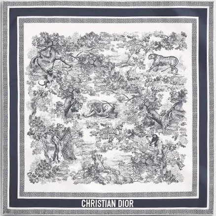 DIOR Women's Toile de Jouy Sauvage Silk Twill Scarf