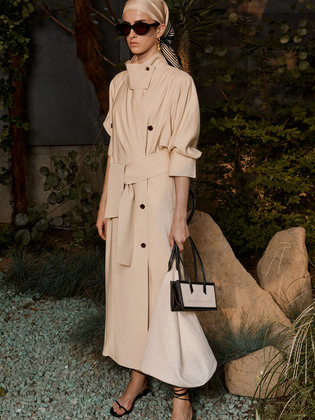 Double Breasted Trench Dress