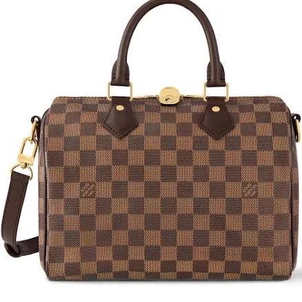 Louis Vuitton Damier Ebene Speedy Canvas Bandouliere 25