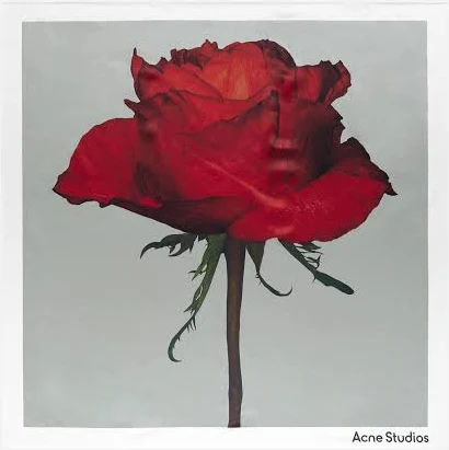 Acne Studios Vasco Rose Midsummer Silk Square Scarf