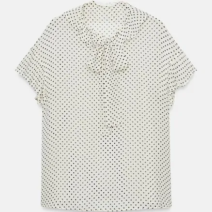 Zara Tied Polka Dot Blouse