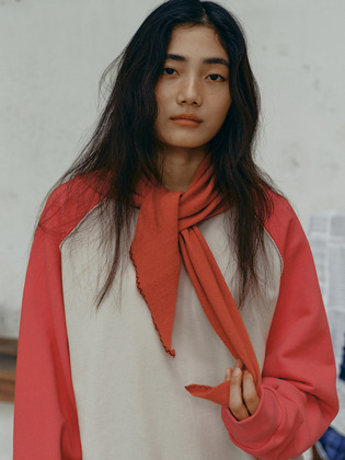 Colorblock Sweatshirt