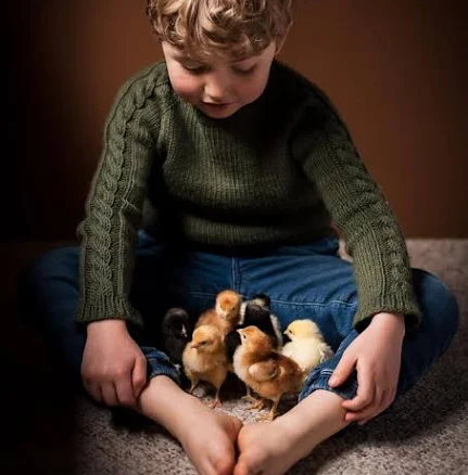 Vine Pullover