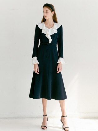 Haliley V-neck Button Down Flared Dress
