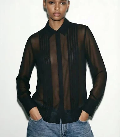 Sheer Pleated Front Button Down Blouse