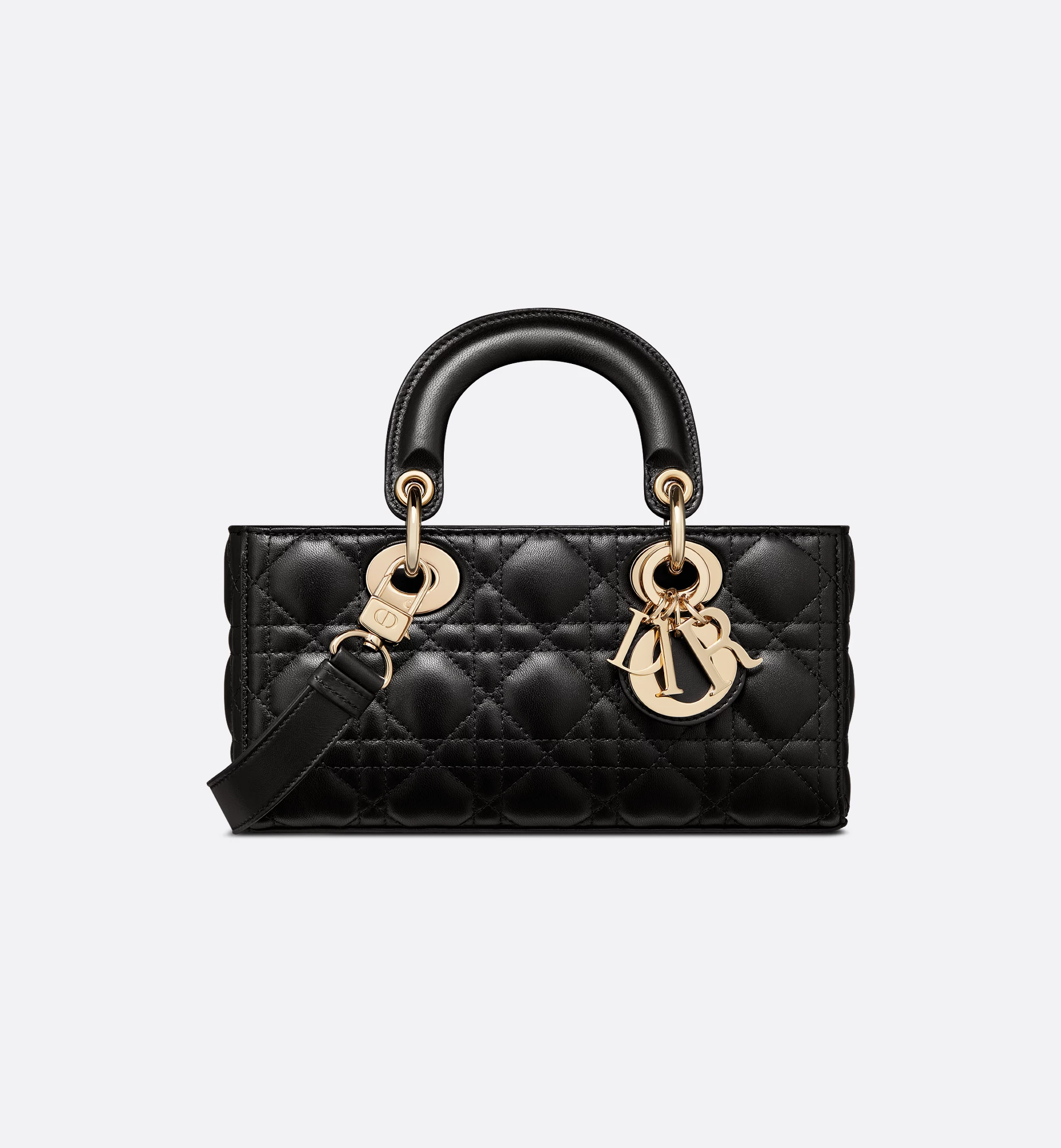 Small Lady Dior My ABCDior Bag