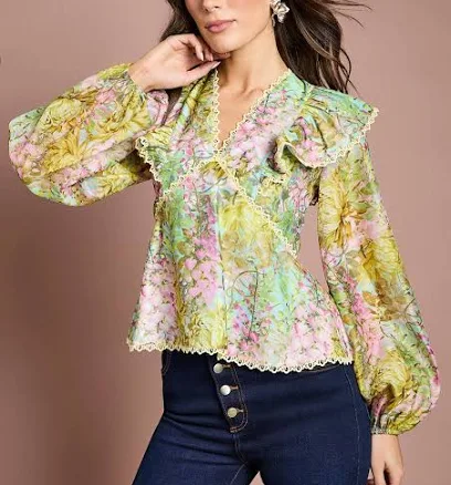 Coast Women's Lace Trim V-Neck Organza Blouse